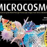 Microcosmos