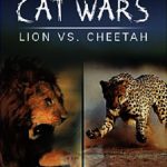 Cats Wars: Lion vs. Cheetah