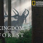 National Geographic – Kingdom of the Forest (2010)