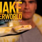 National Geographic - Wild Snake Underworld