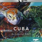 Cuba: The Accidental Eden